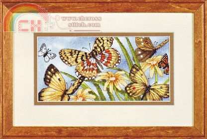 DIM65055 Butterfly vignette.jpg