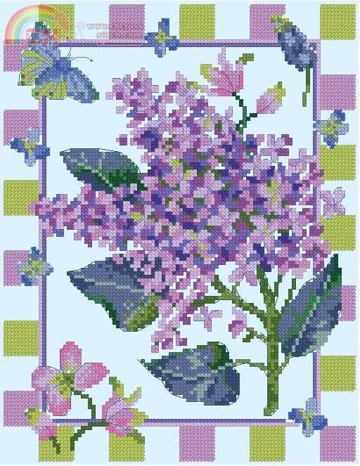 DMC XC1126A Lilac Picture.JPG