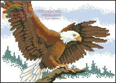 Dimensions_16603_-_Eagle_in_Flight.jpg