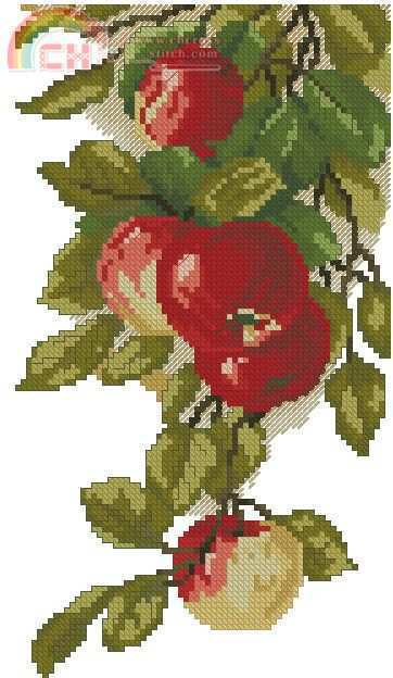 Apples.jpg