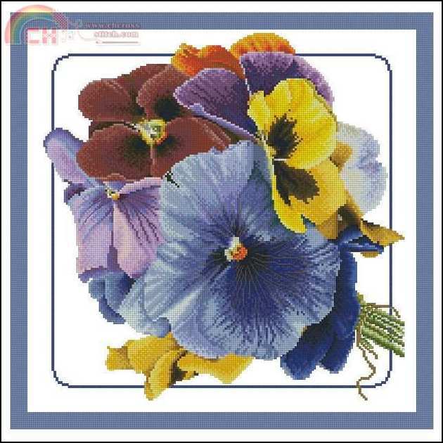 TG-435-Viooltjes.jpg