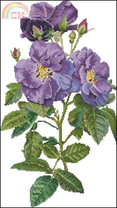 TG-413-Rhapsody in Blue.jpg