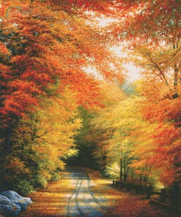 Shinysun - Autumn in new England.jpg