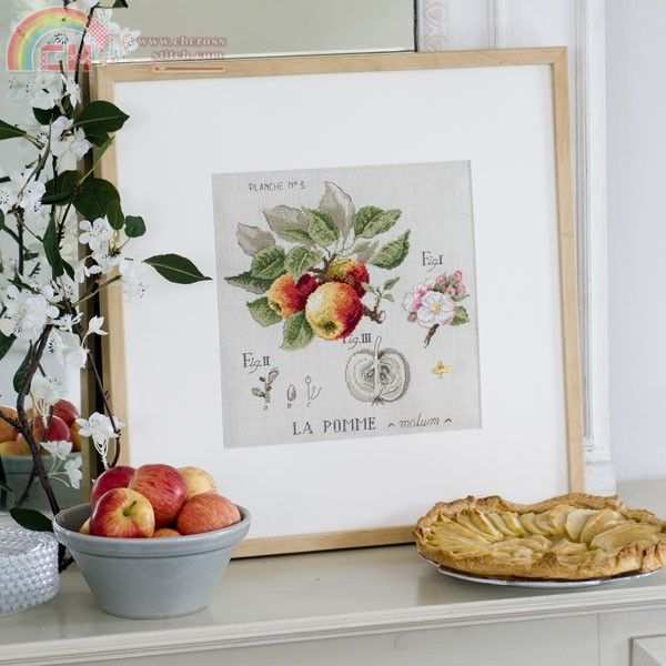 Etude aux pommes.jpg
