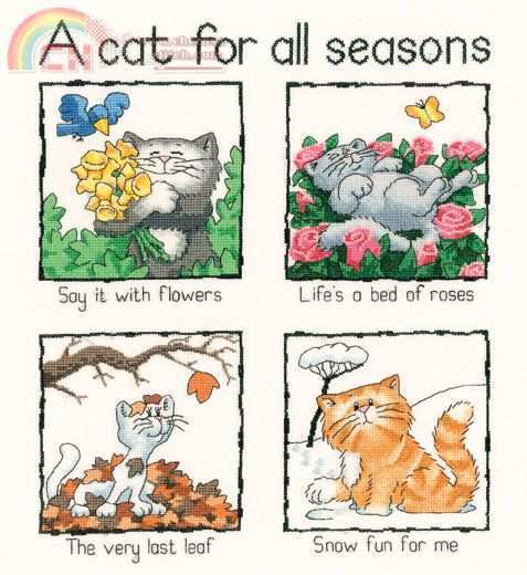 A cat for all seasons (1).jpg