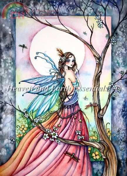 KUIK, Ching-Chou - DRAGONFLIES WHISPERS HAECCK 8208.jpg