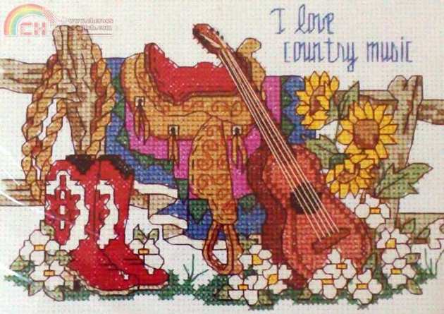 16648 I love country music.jpg