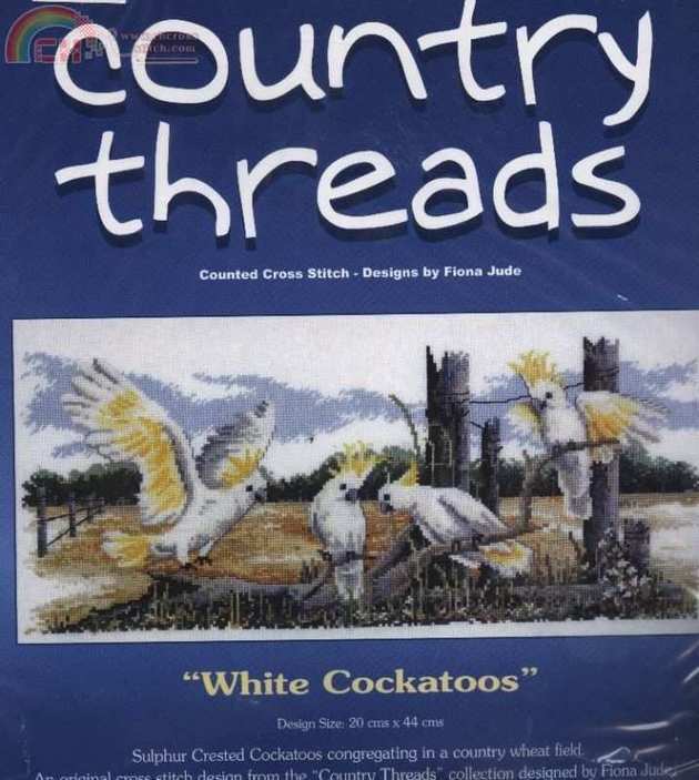 White Cockatoos (1).jpg