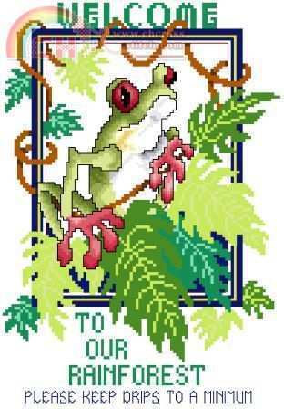 Stoney Creek - 183 Rainforest Frog.jpg