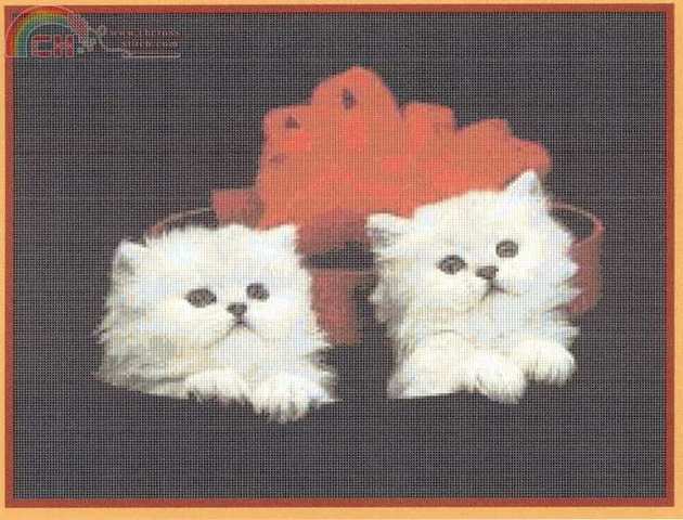 Love Me Cat-10.JPG