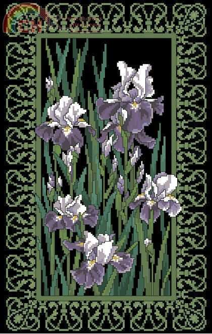 JCA 02181 Filigree Irises.jpg