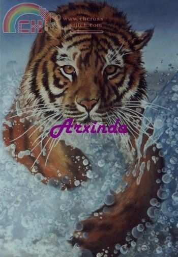 Felino.jpg