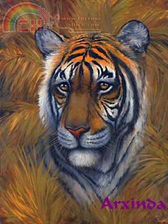Tiger.jpg