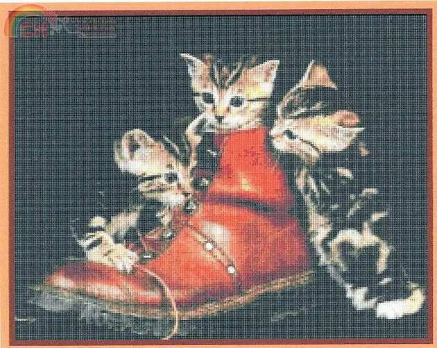 Puss Boots (1).JPG