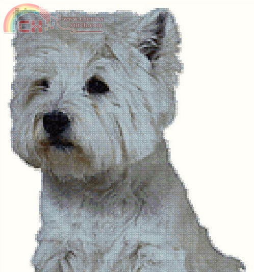 dog.png