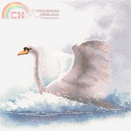 Swan  in flight.jpg