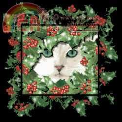 CMH Winter Cat_PM.jpg