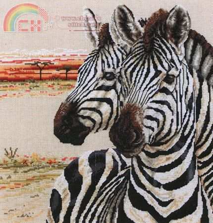 Zebras (5).jpg