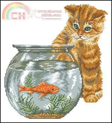 BK 669 Cat and Goldfish-virt.jpg