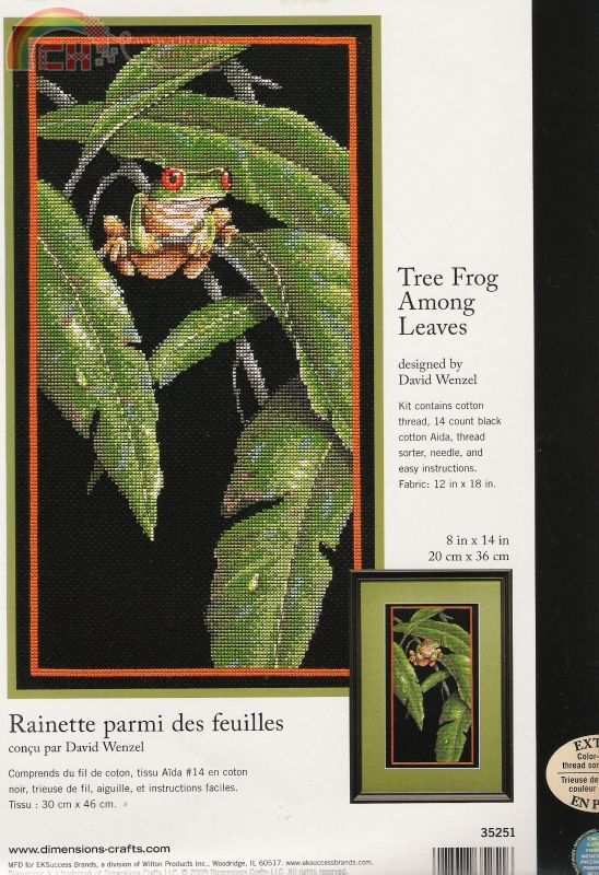 Tree frog among leaves (1).jpg