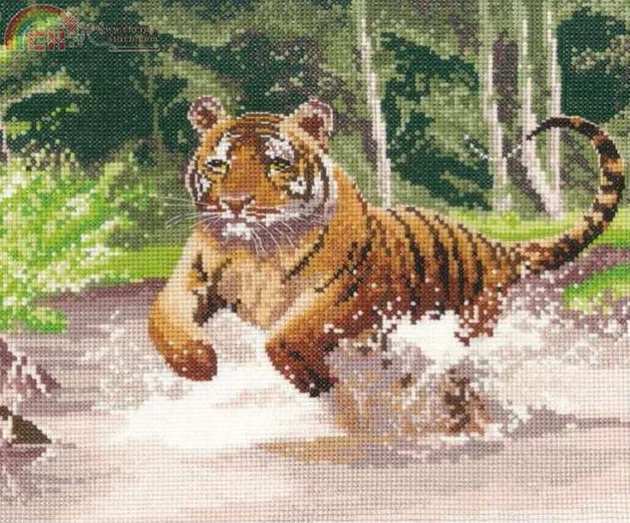 Tiger.jpg