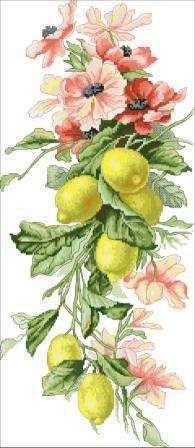 Composition of Lemon.jpg