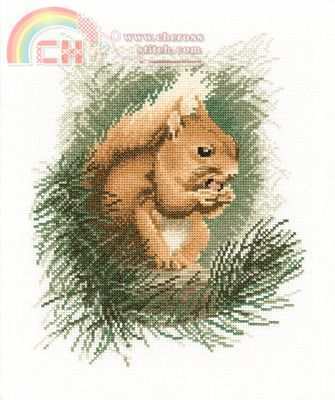 Red Squirrel.jpg