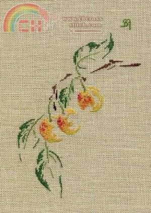 mirabelles1.jpg