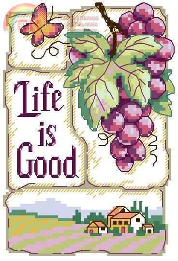 Dimensions16752_life_is_good.JPG