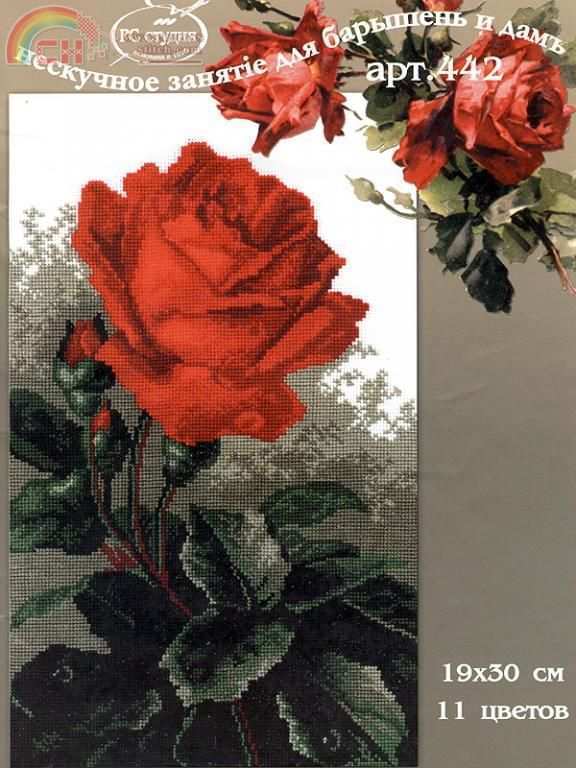 442 Rose.jpg