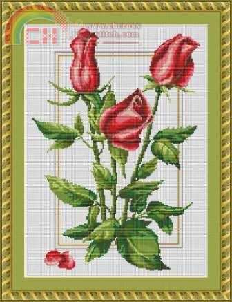 Red Roses.jpg