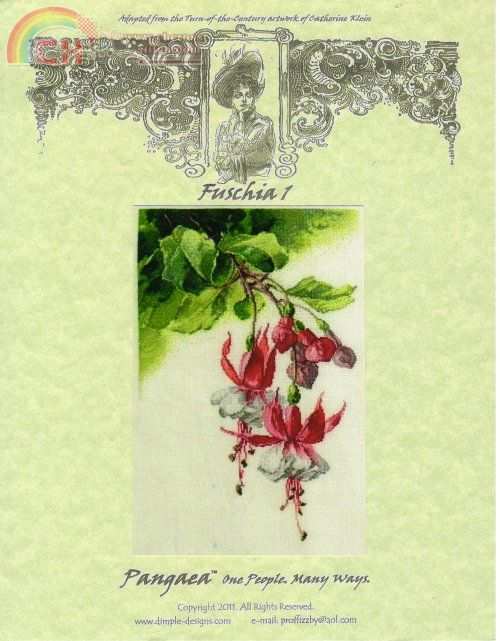 Fuchsias 1-orig.jpg