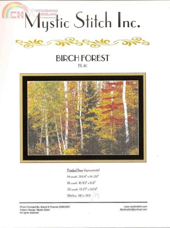 Birch Forest (1).jpg