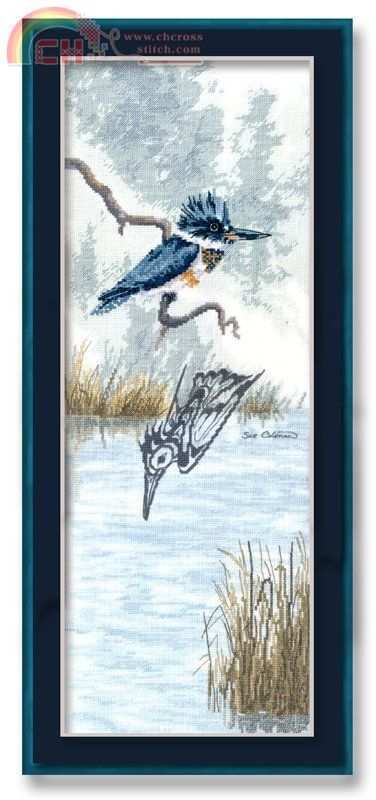 Kingfisher (1).jpg