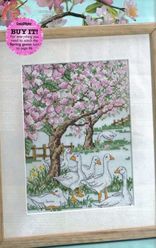 Spring Geese (1).jpg