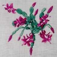 SL68 Christmas cactus.jpg