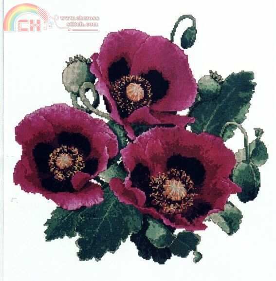 SL96 Crimson poppies.jpg