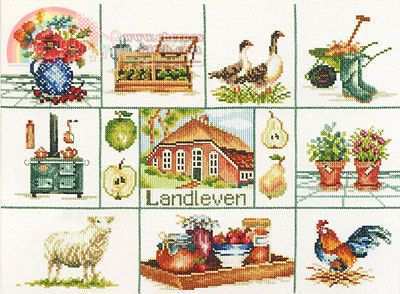 Lan-34800-15.jpg