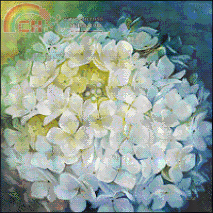LA-003 Hydrangea Portrait.GIF