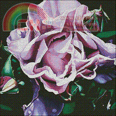 JH-006 Buds.GIF