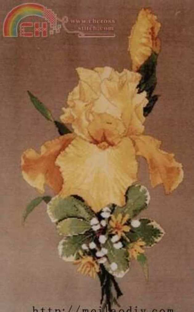 SL120 Yellow sensation.jpg