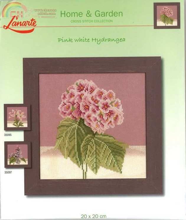 Pink White Hydrangea.jpg