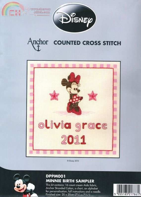 DPPM001 Minnie Birth Sampler.JPG