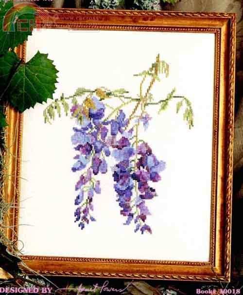 30018 Wisteria.jpg