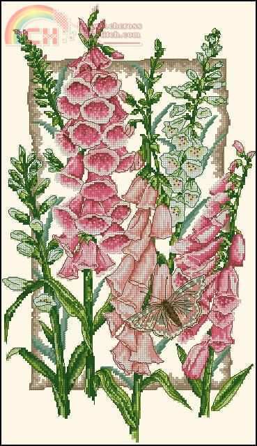 Anchor PCE936 Flowering Foxgloves.jpg