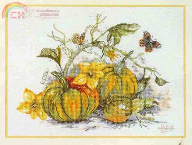 courges.jpg