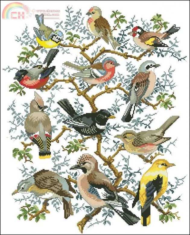 ER Tree with Birds.jpg