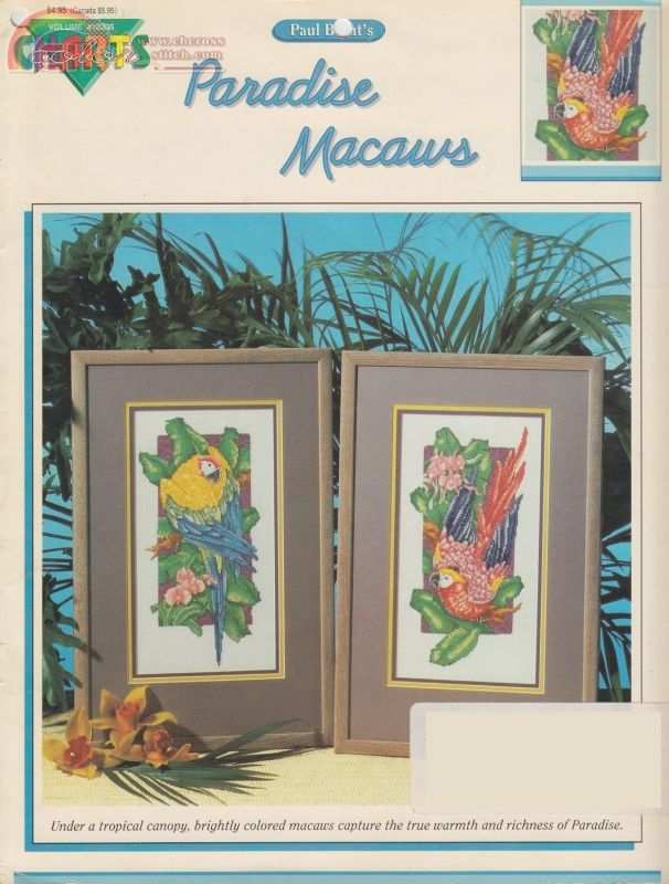 Paradise Macaws.jpg