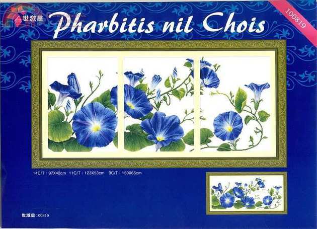 DOME 100819_Pharbitis nil chois.jpg