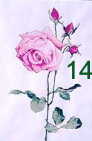 14.png